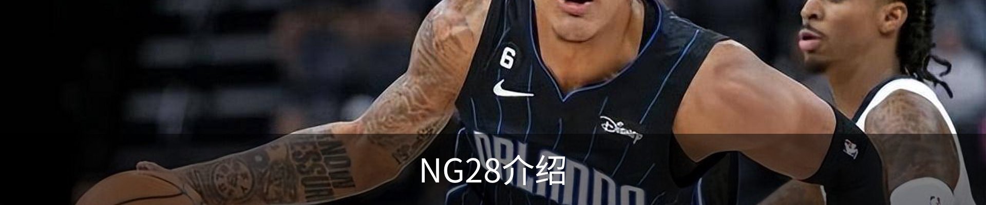 NG28介绍